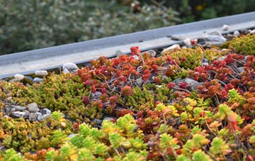 the cost of Dalneigh green roof installation