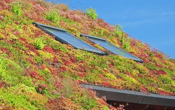 Dalneigh living roof systems