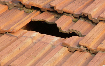 roof repair Dalneigh, Highland