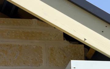 soffit repair Dalneigh