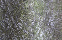 Dalneigh fibreglass roof work